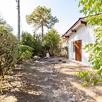Petit Piquey * Lège-Cap-Ferret