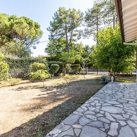 Appartement Proche Petit Piquey *
