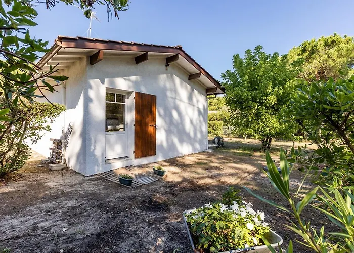 Petit Piquey Lège-Cap-Ferret