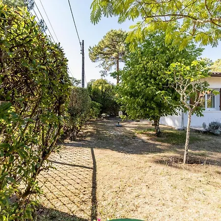 Petit Piquey Lège-Cap-Ferret