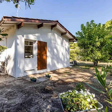 Petit Piquey Lège-Cap-Ferret