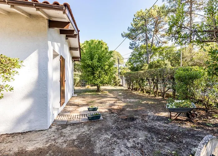 Lejlighed Petit Piquey Lège-Cap-Ferret